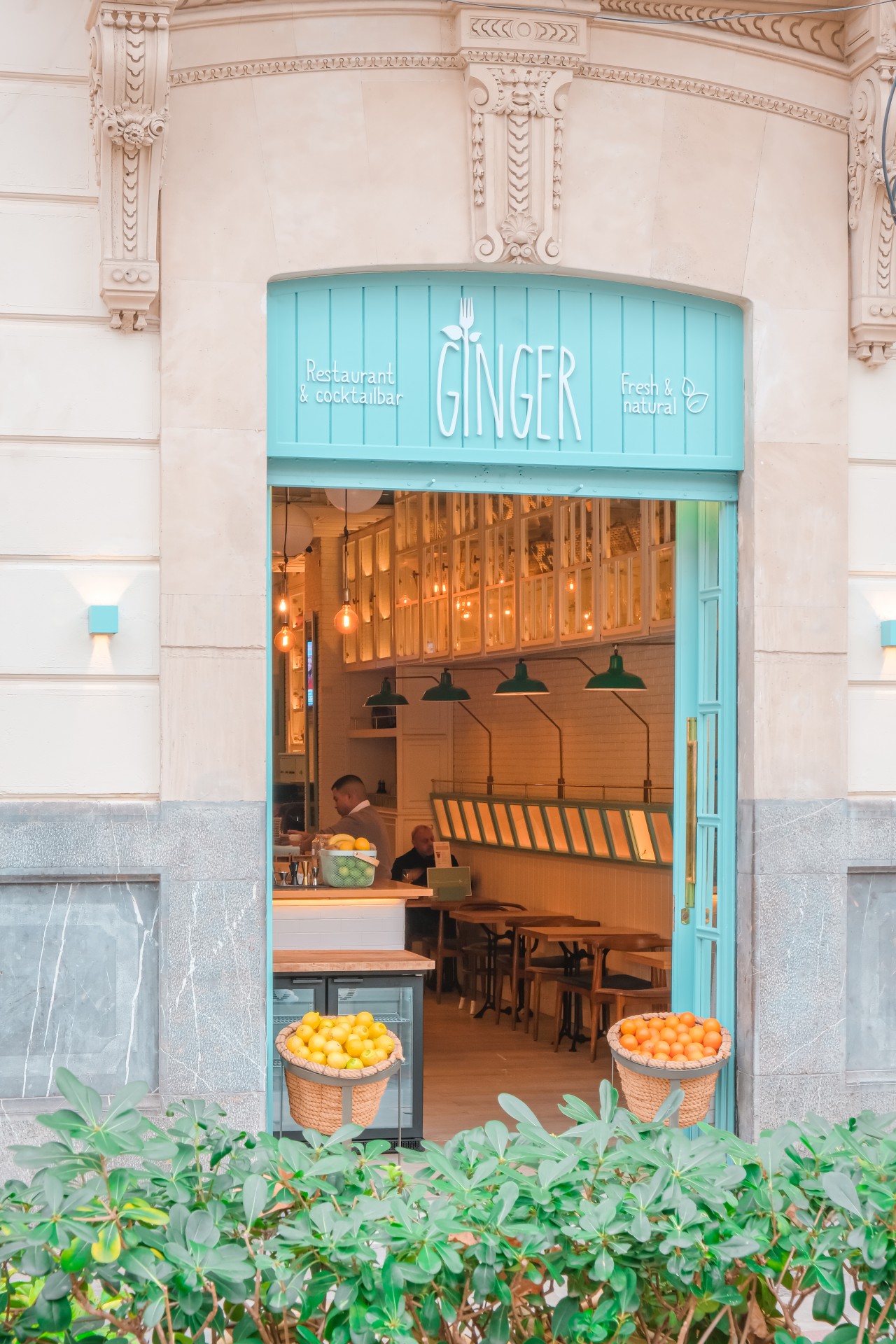 Ginger Paseo del Borne 23 1